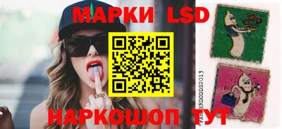 наркотики Сланцы